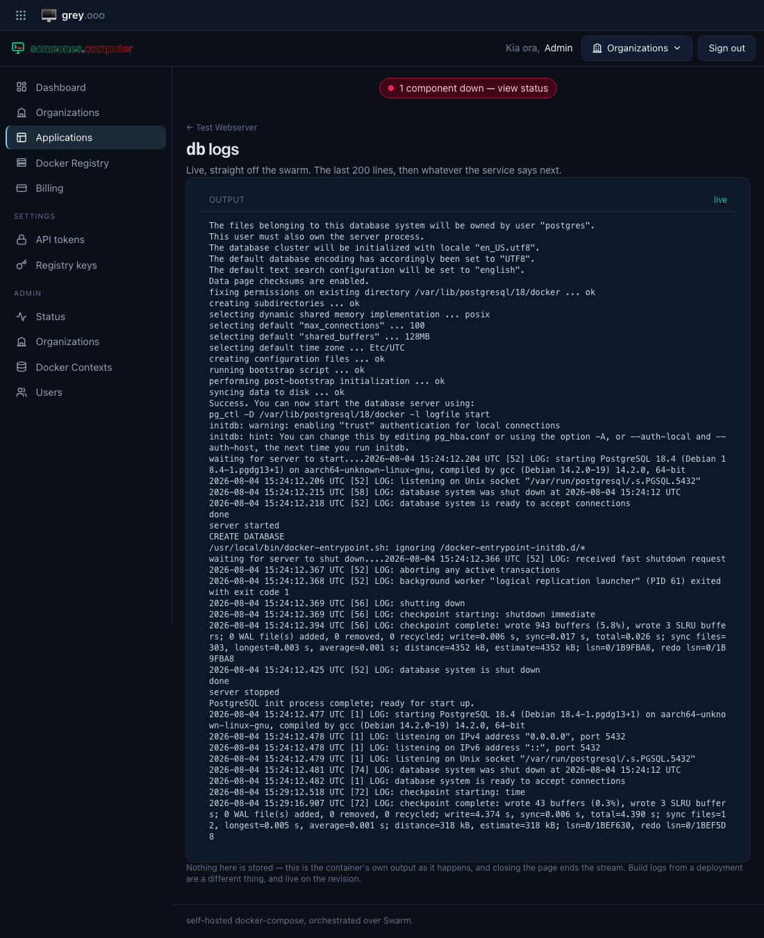 A service's log, followed