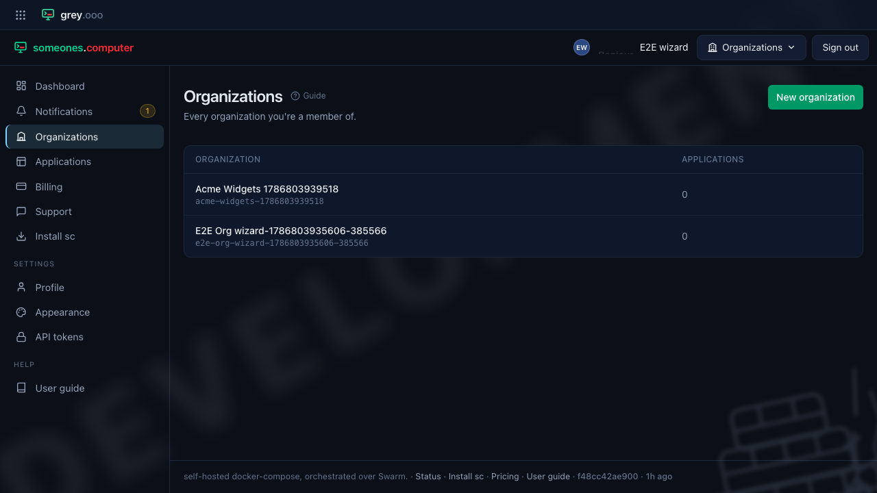 Organizations list with the new organization