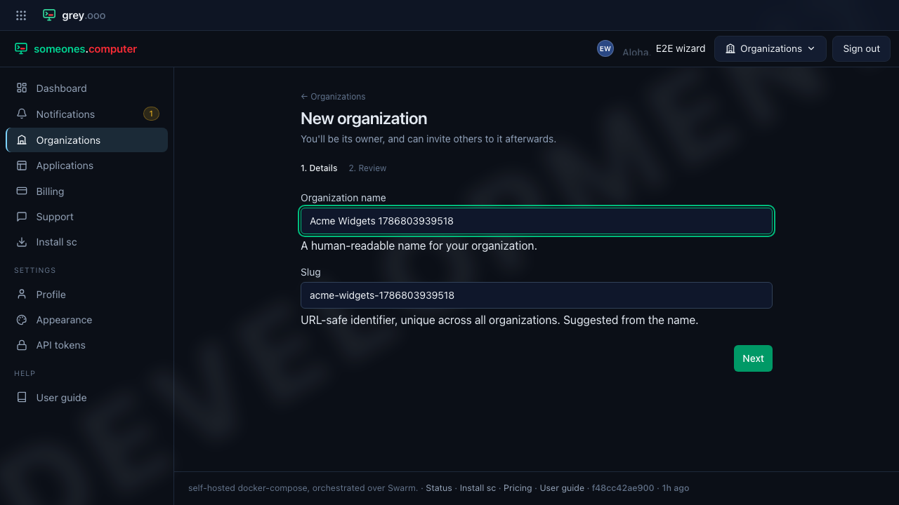 New organization — Details step, filled in